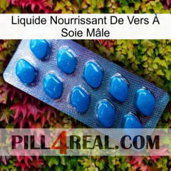 Liquide Nourrissant De Vers À Soie Mâle viagra1